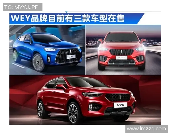 莫比莱发布盈利报告，净利润较去年同期增长20%